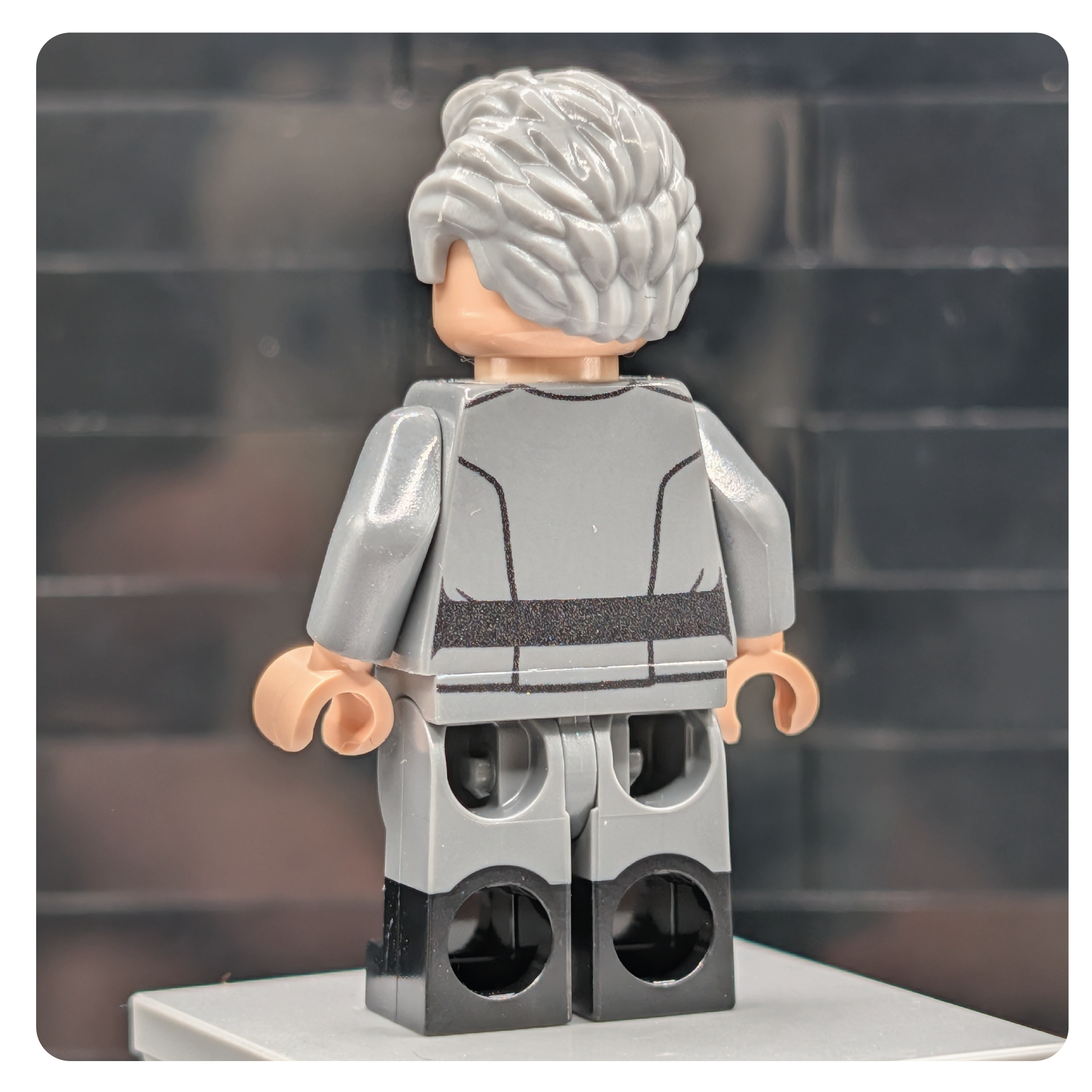 SW Customs Collectible Figure - The Architect of Fear