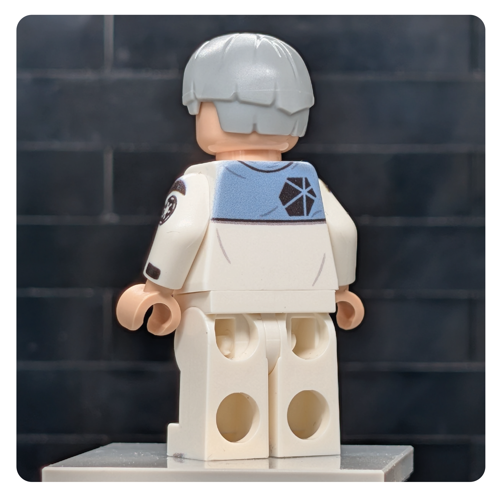 SW Customs Collectible Figure Stardust Scienitst