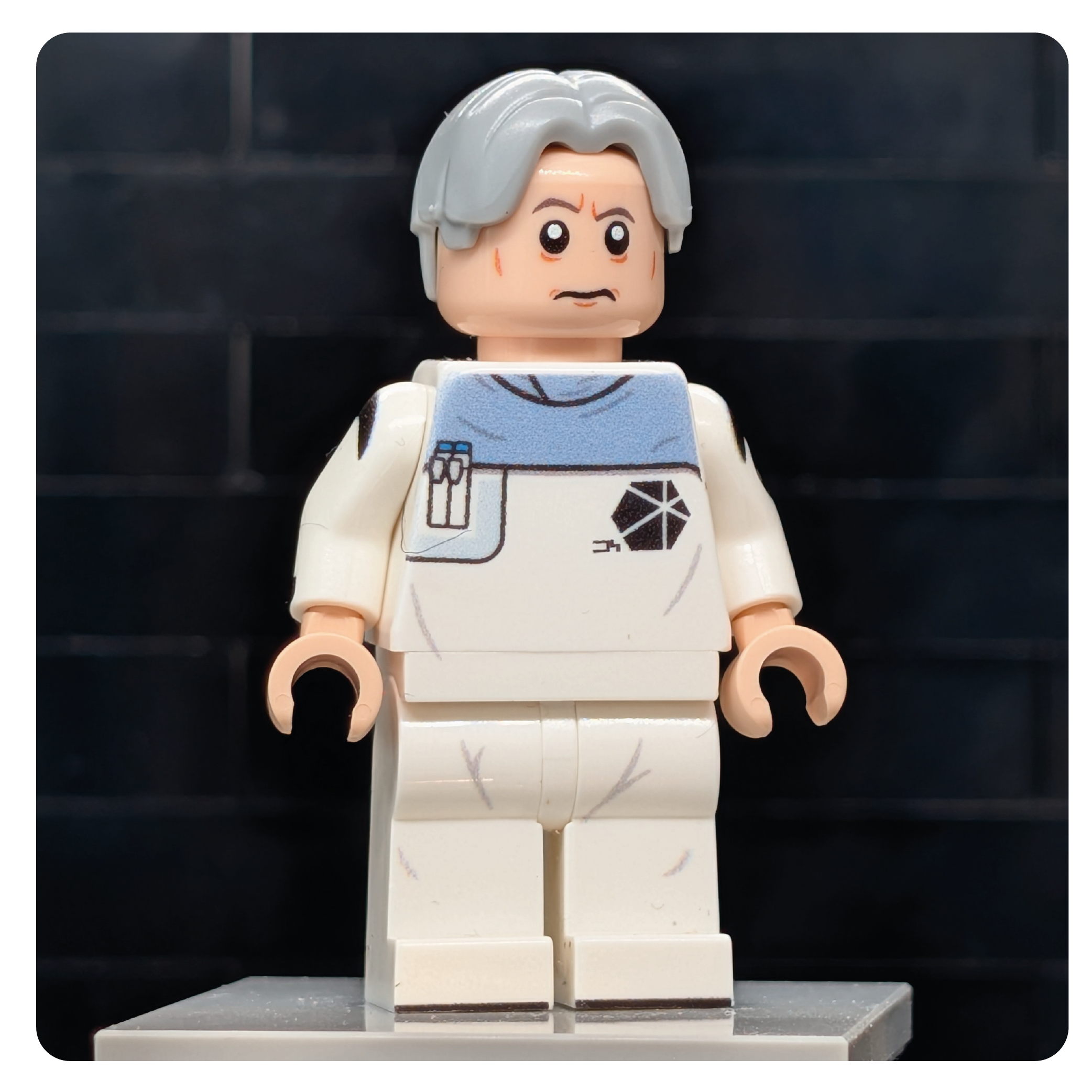 SW Customs Collectible Figure Stardust Scienitst