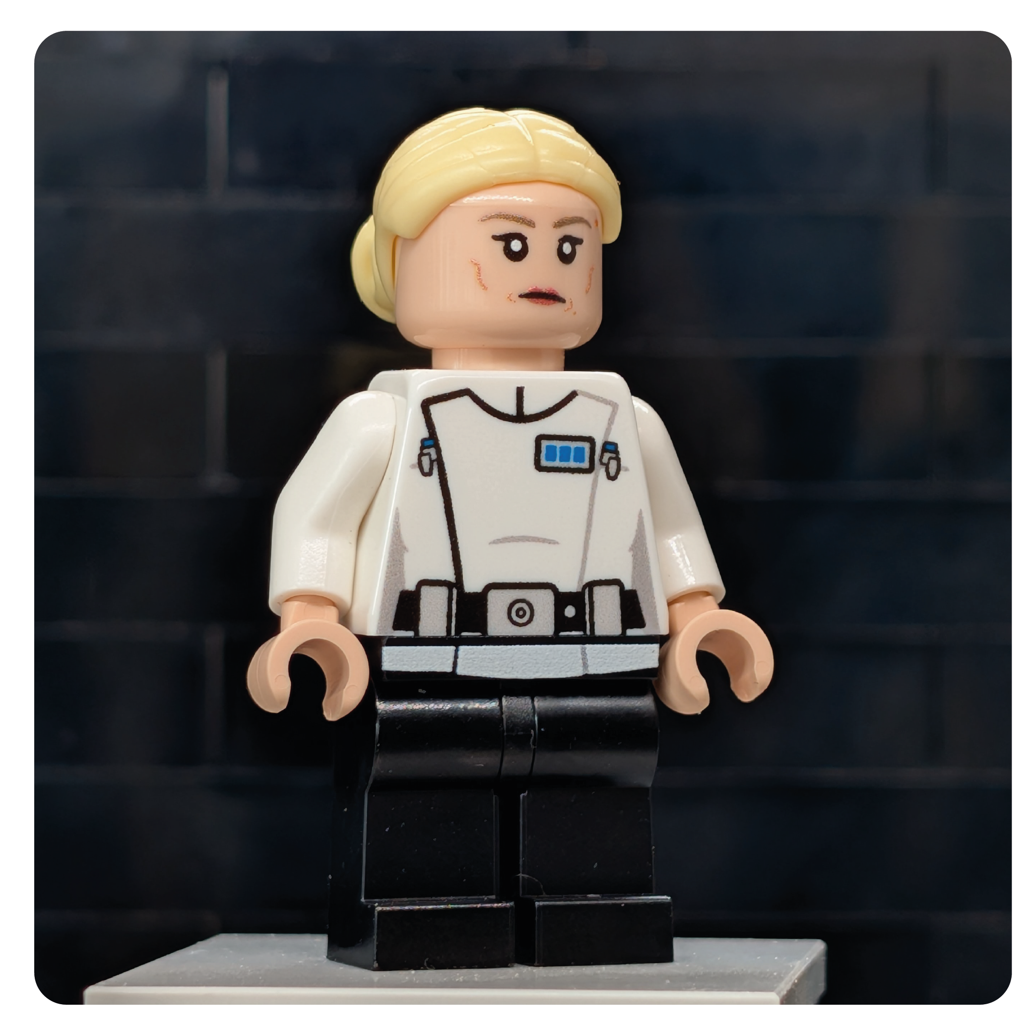 SW Customs Collectible Figure – The ISB Supervisor