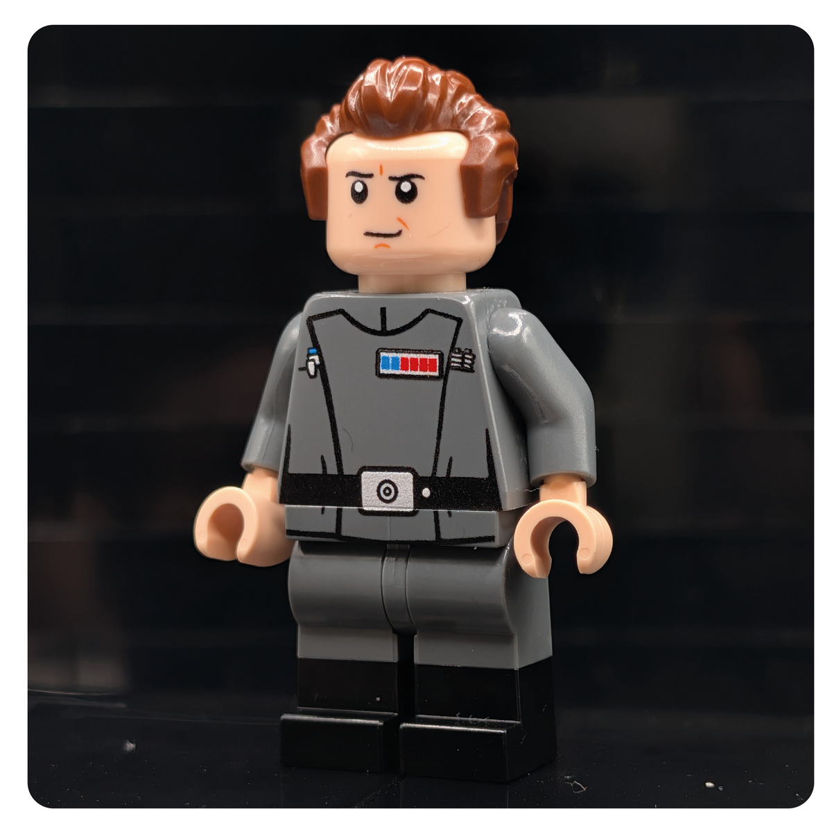SW Customs Collectible Figure – The Imperial Zealot – Hall of Bricks