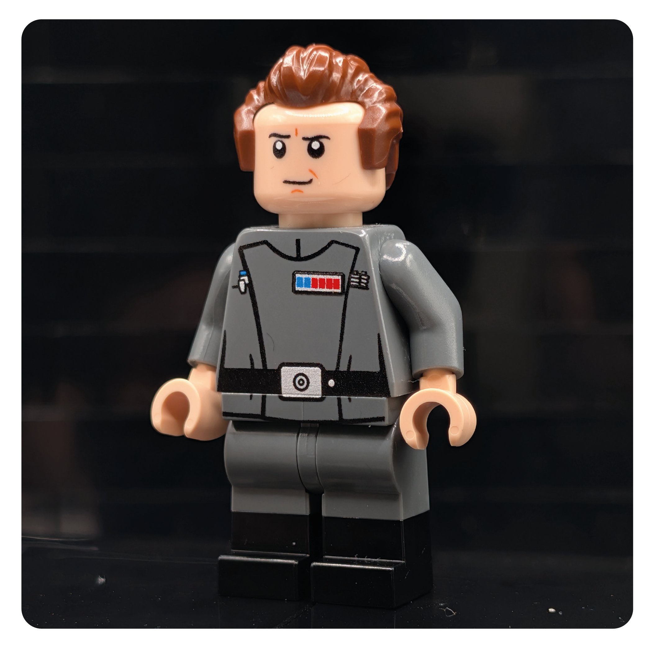 SW Customs Collectible Figure – The Imperial Zealot