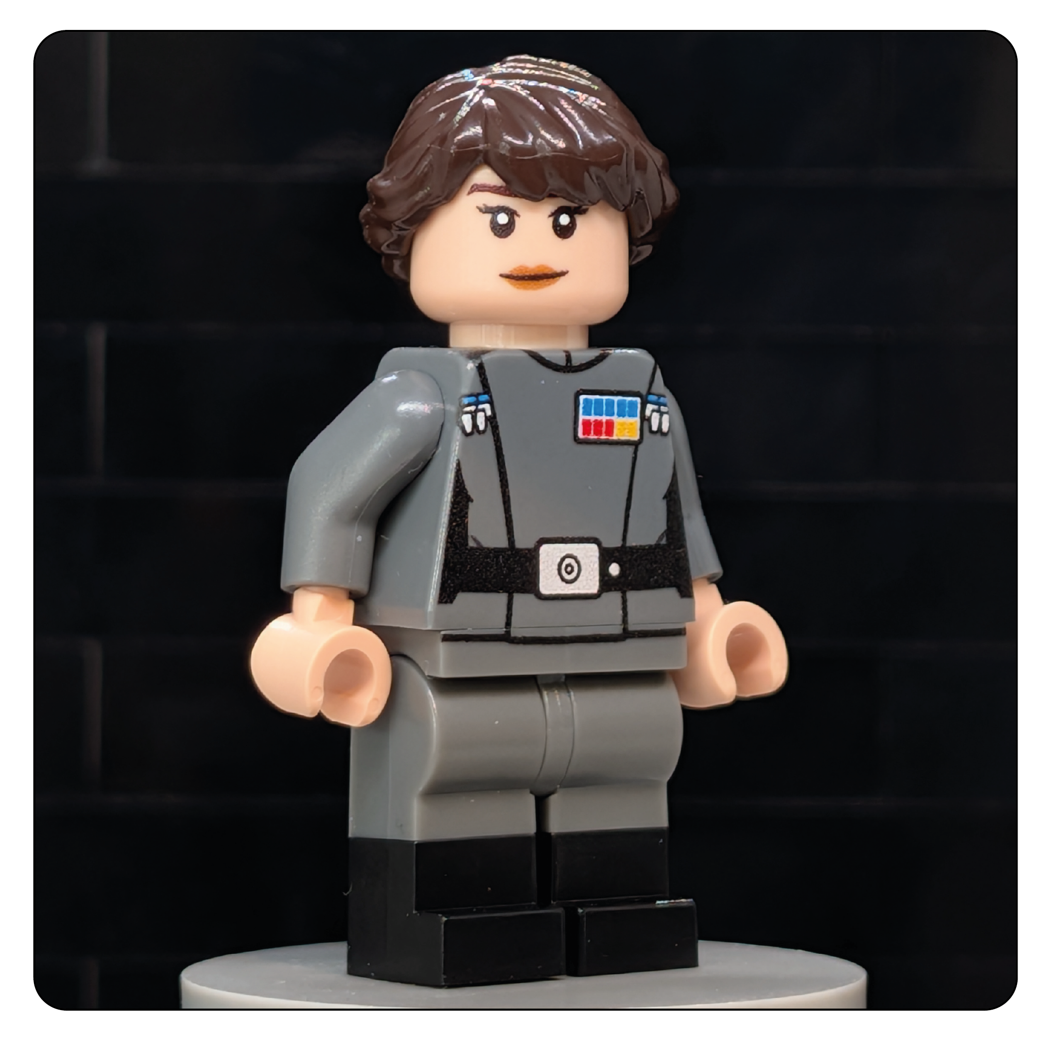 SW Customs Collectible Figure – The Deep Core Commandant