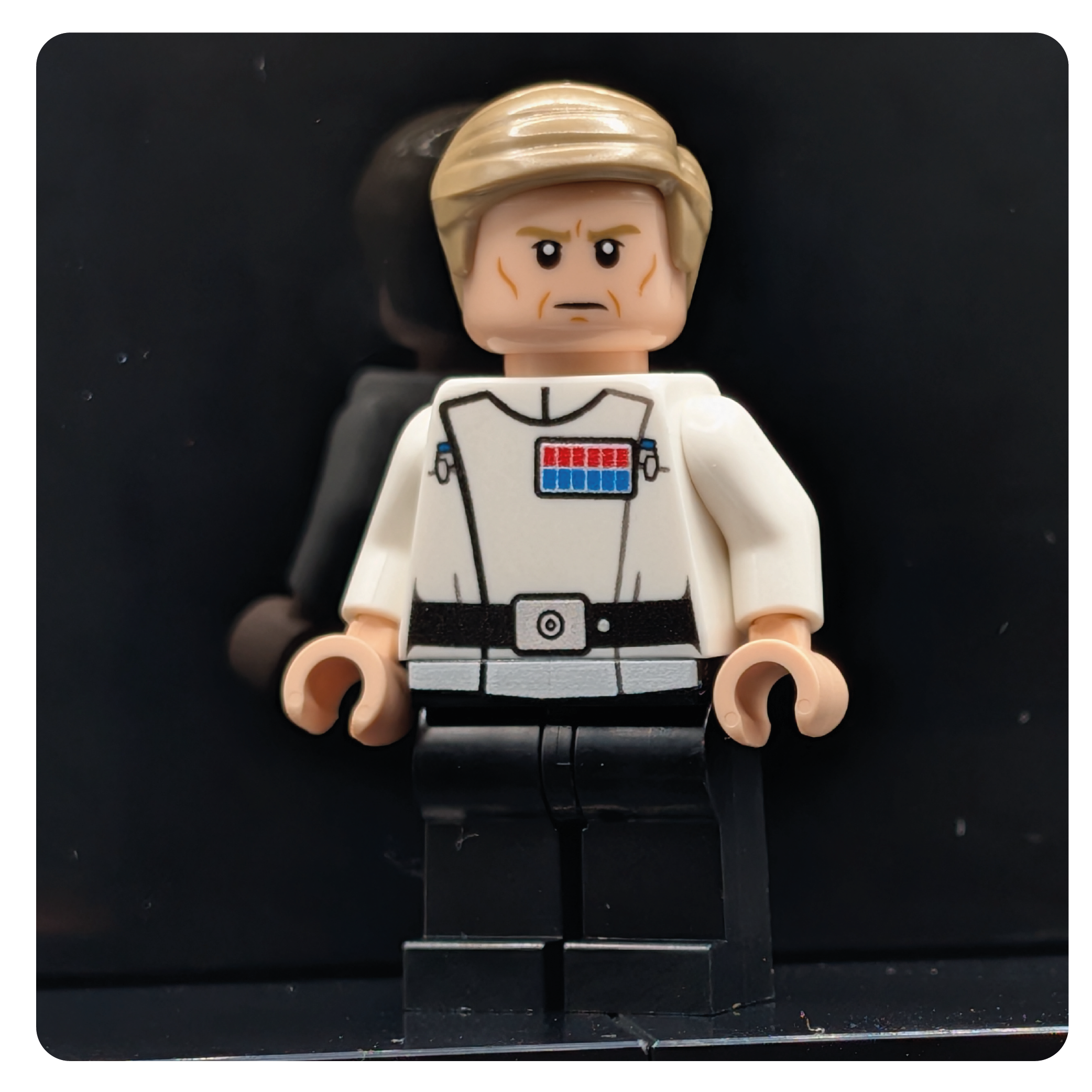 SW Customs Collectible Figure - The Security Director