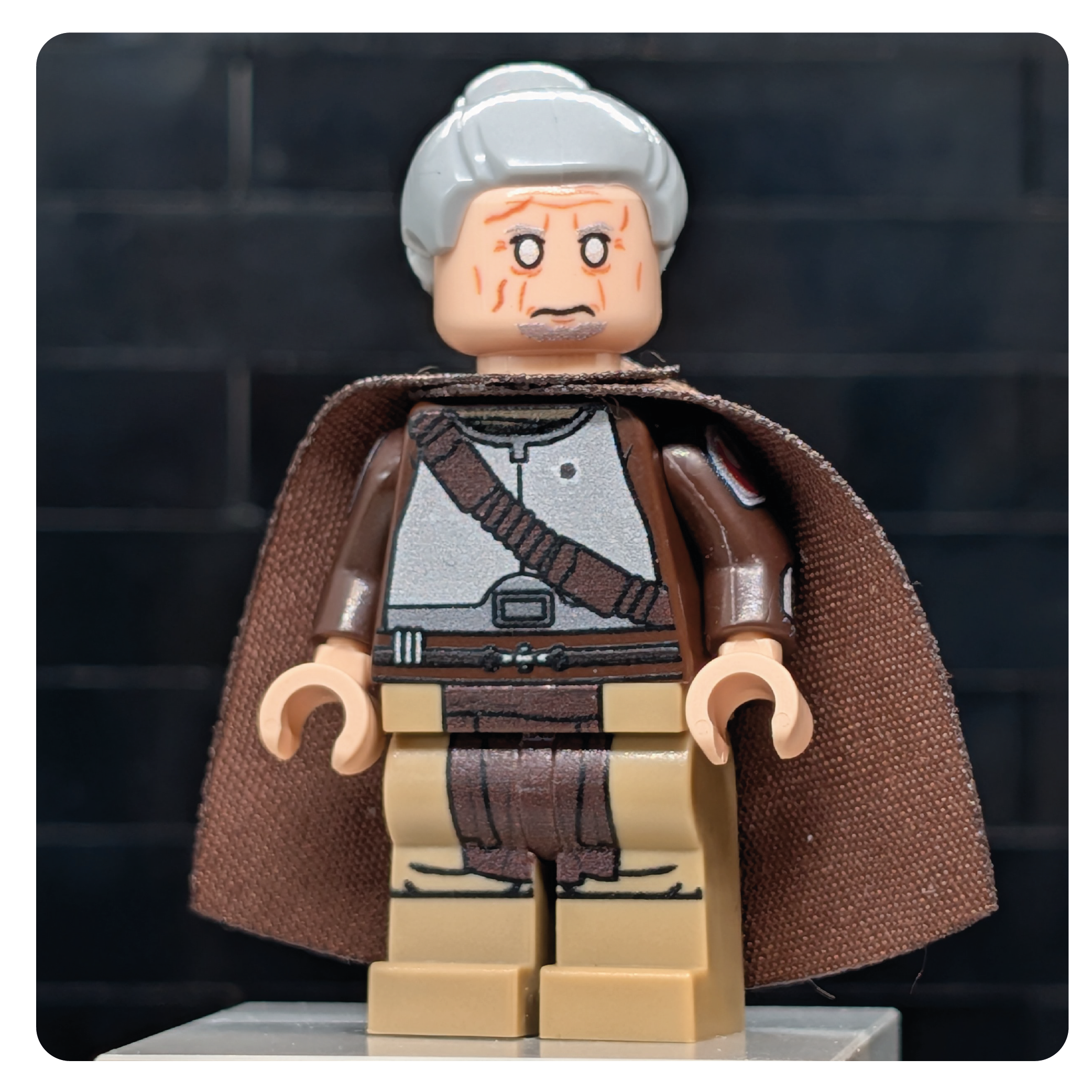 SW Customs - Collectible Figure The Blind Vanguard