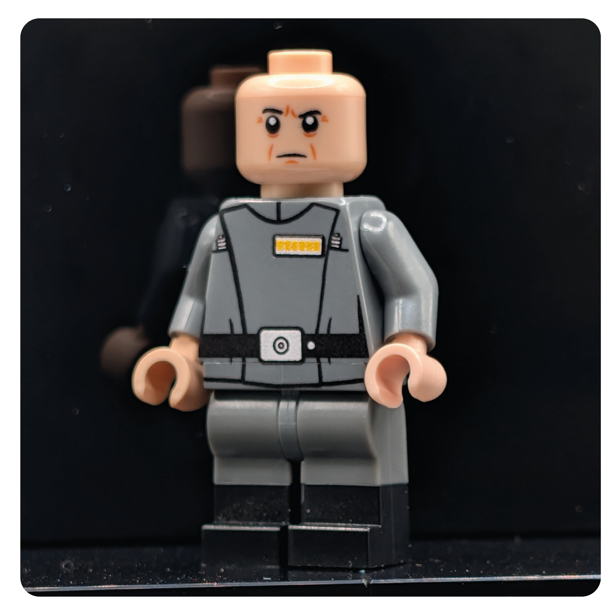 SW Customs Collectible Figure – The Veteran Tactician