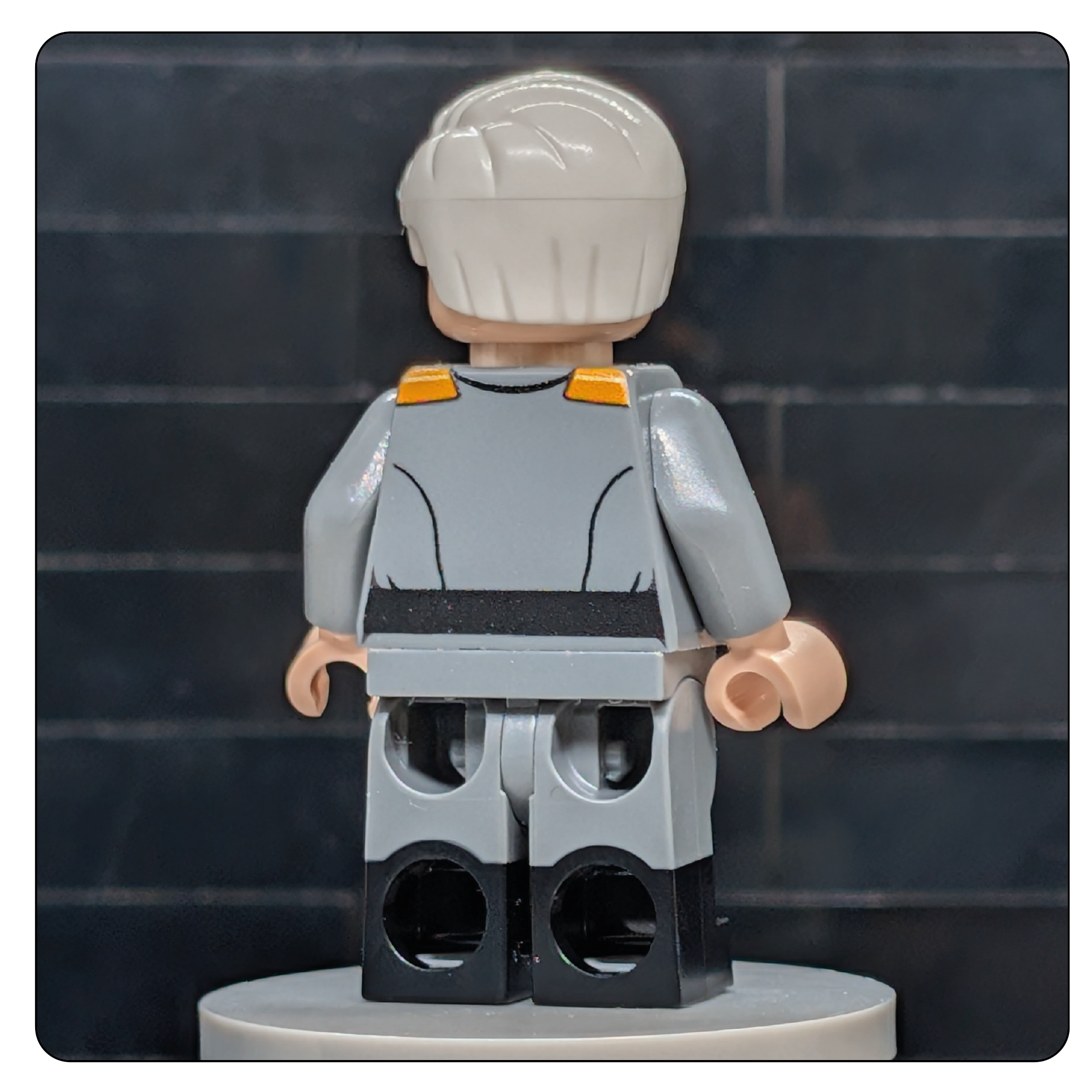 SW Customs Collectible Figure – The Iron-Willed Warlord