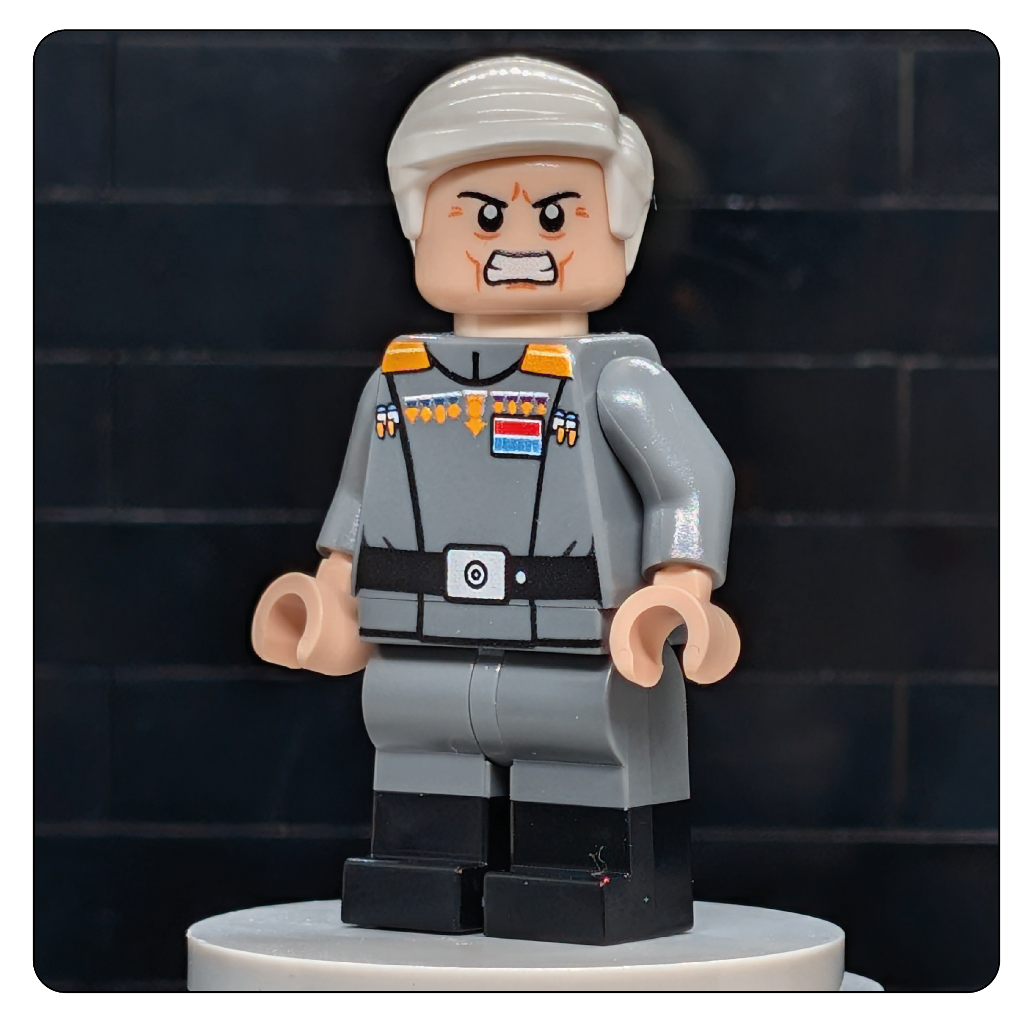 SW Customs Collectible Figure – The Iron-Willed Warlord