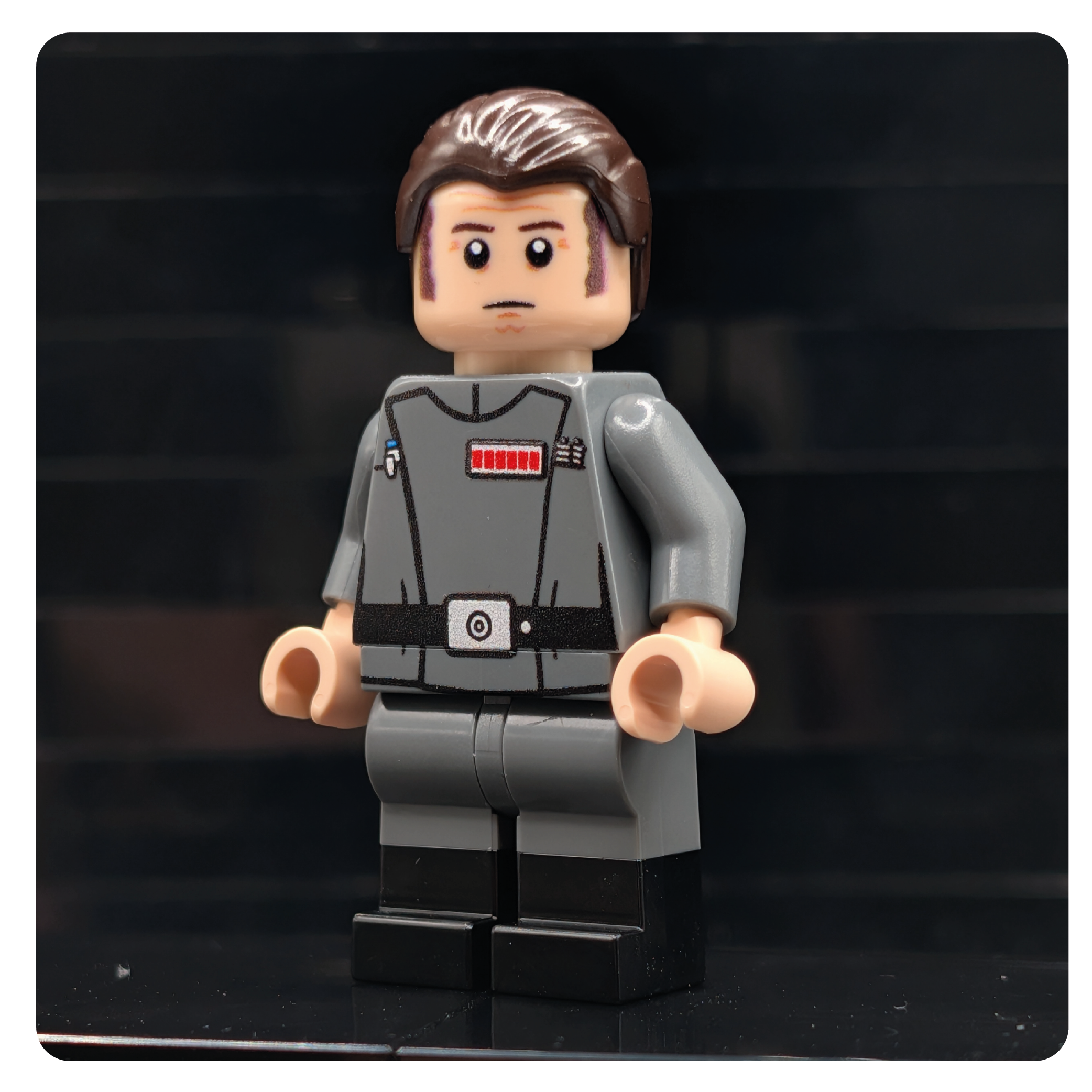 SW Customs Collectible Figure – The Tactical Realist