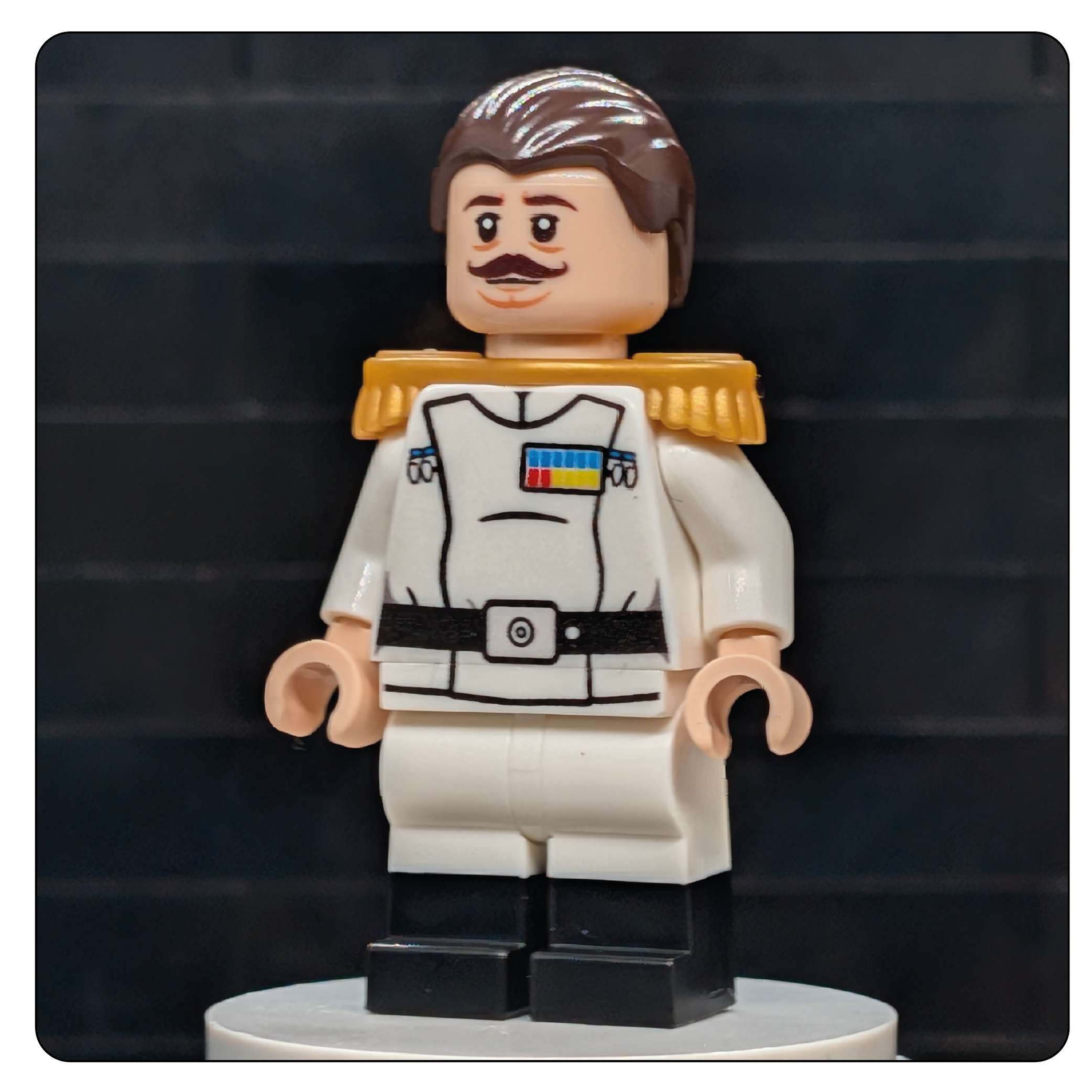 SW Customs Collectible Figure – The Independent Overlord