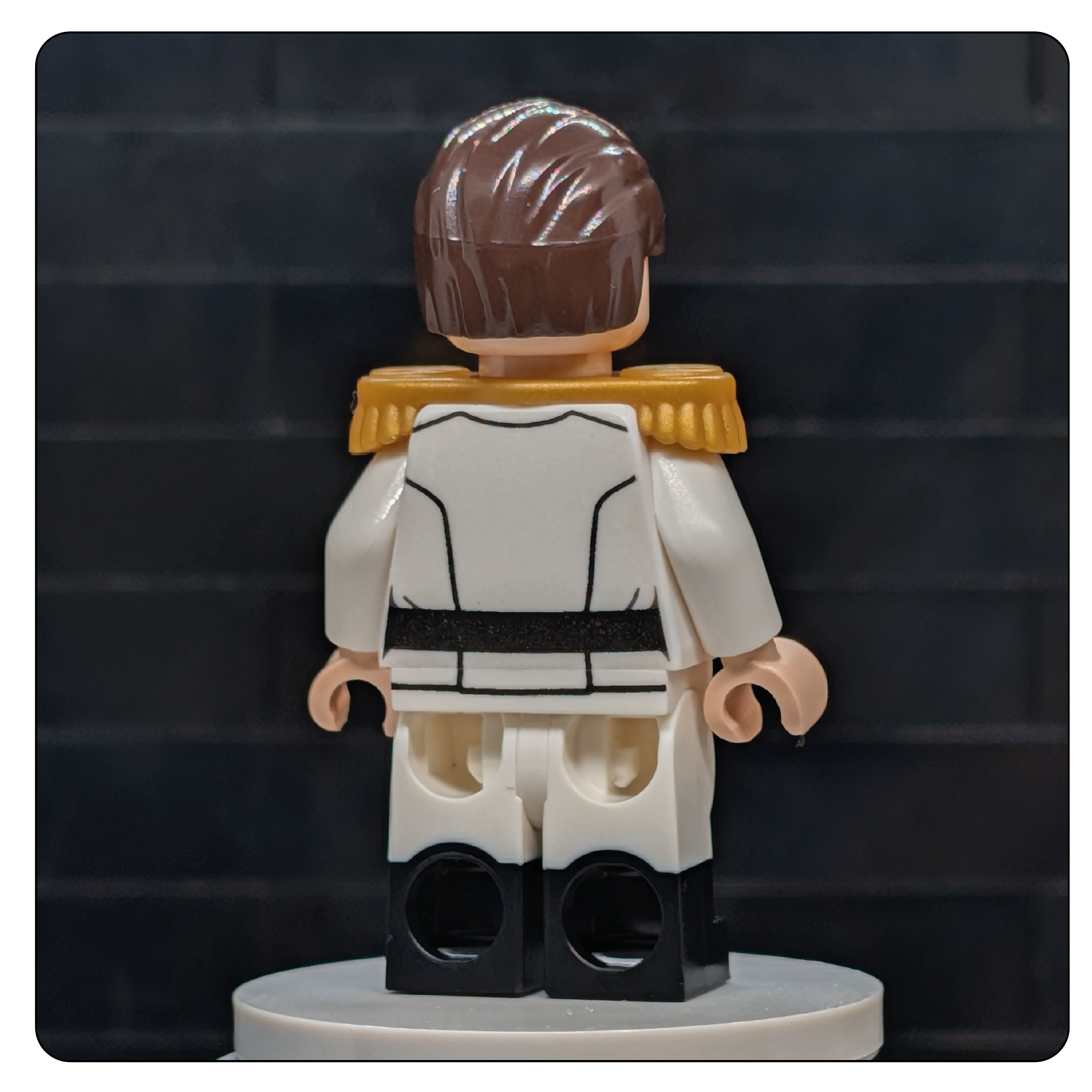 SW Customs Collectible Figure – The Independent Overlord