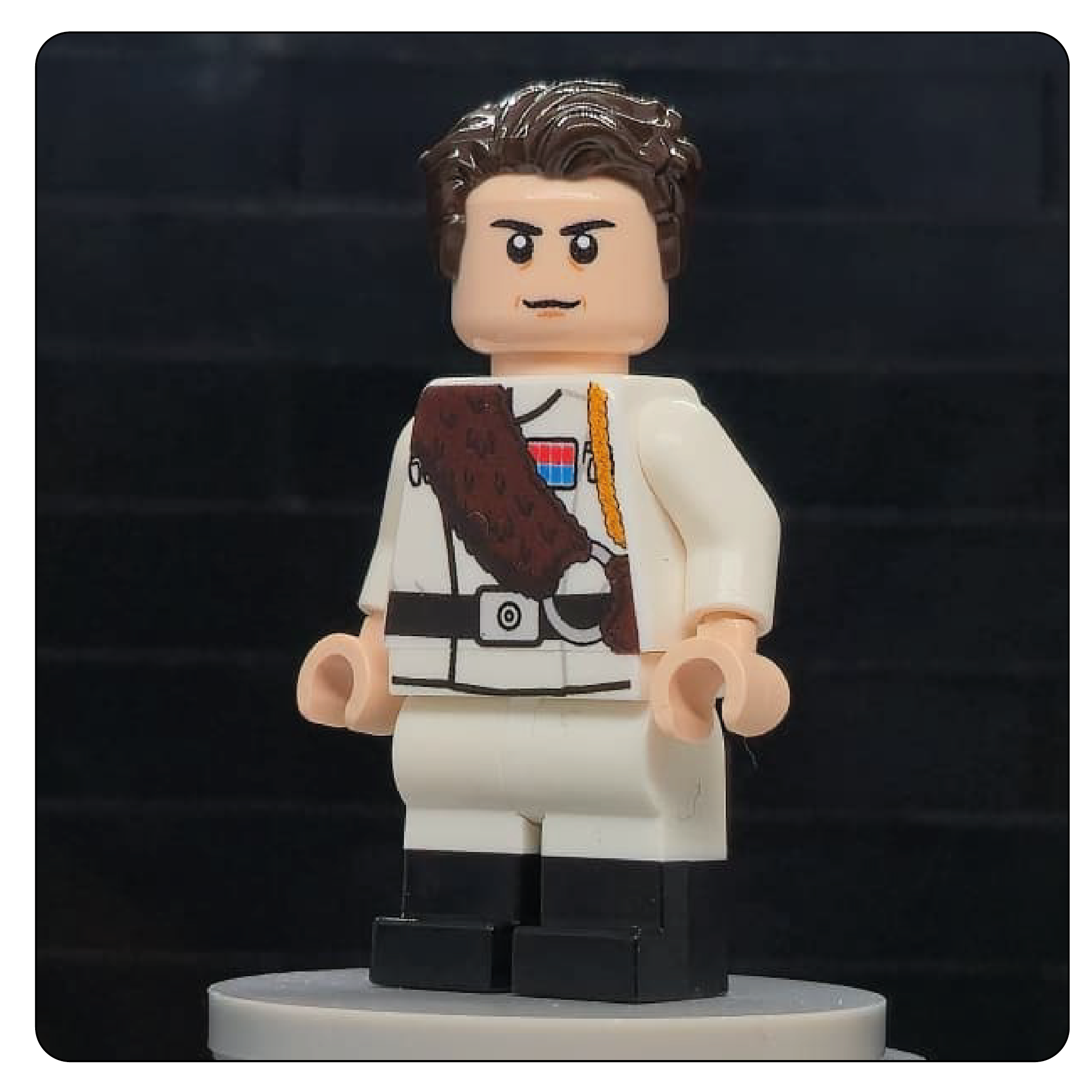 SW Customs Collectible Figure – The Imperial Trophy Hunter