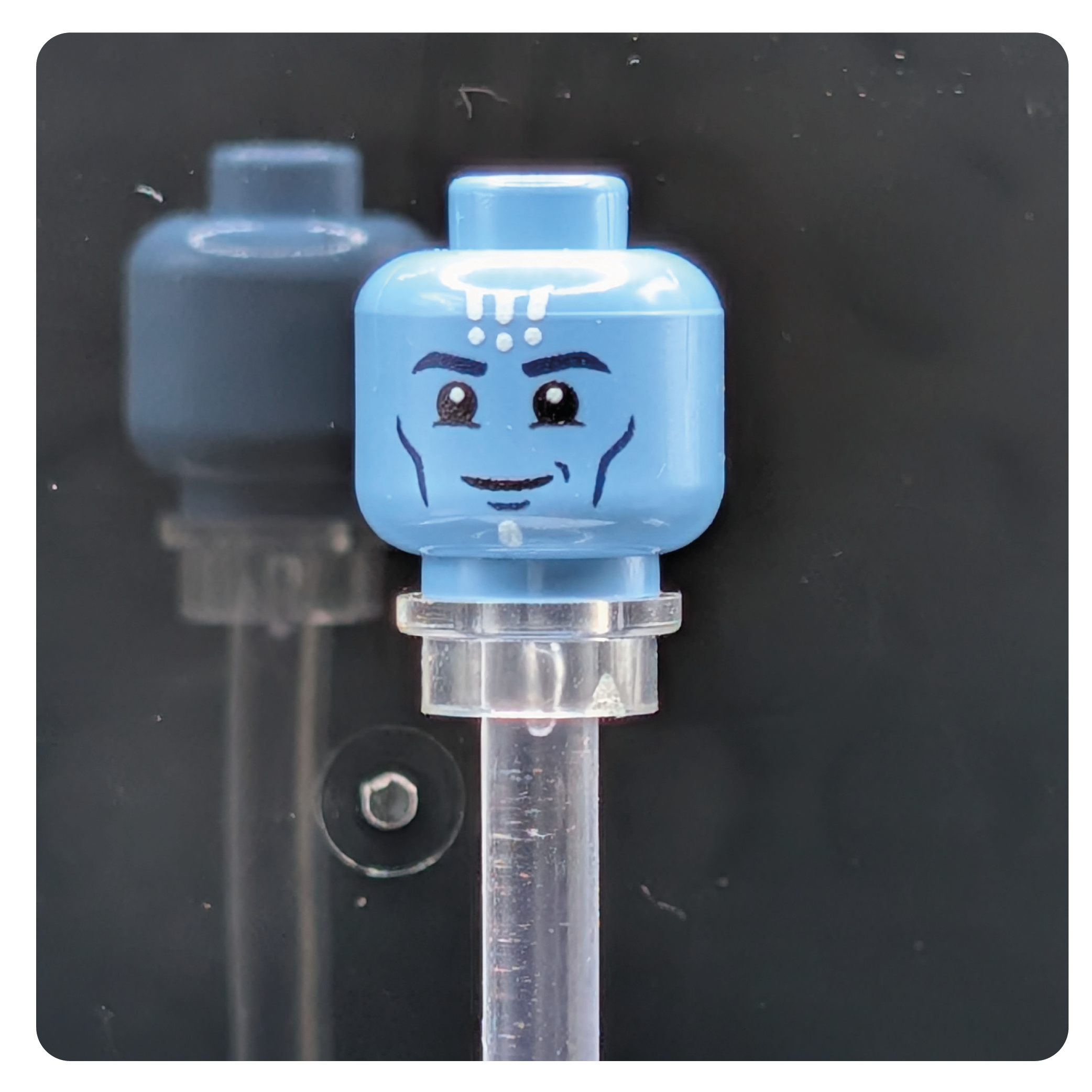 SW Customs Head - Pantoran Smuggler Head