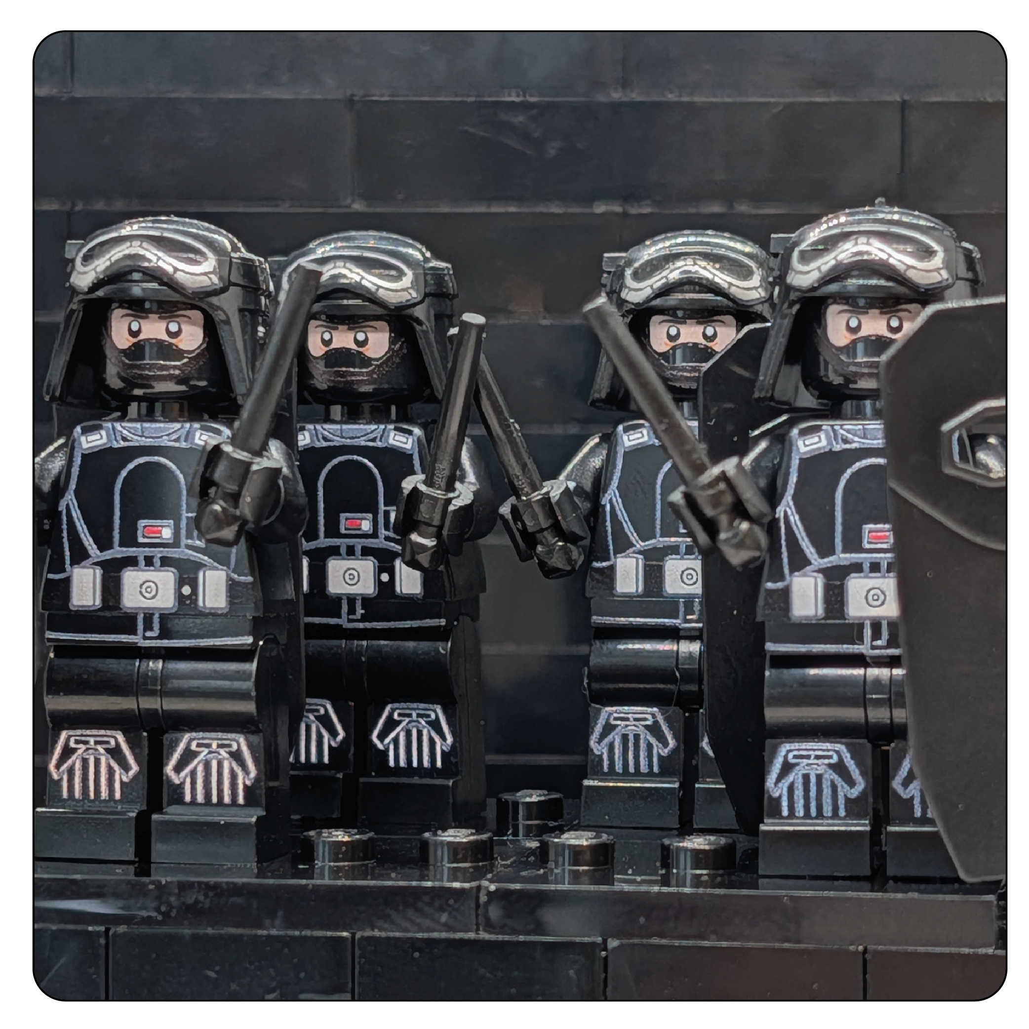SW Customs - Imperial Riot Control Unit