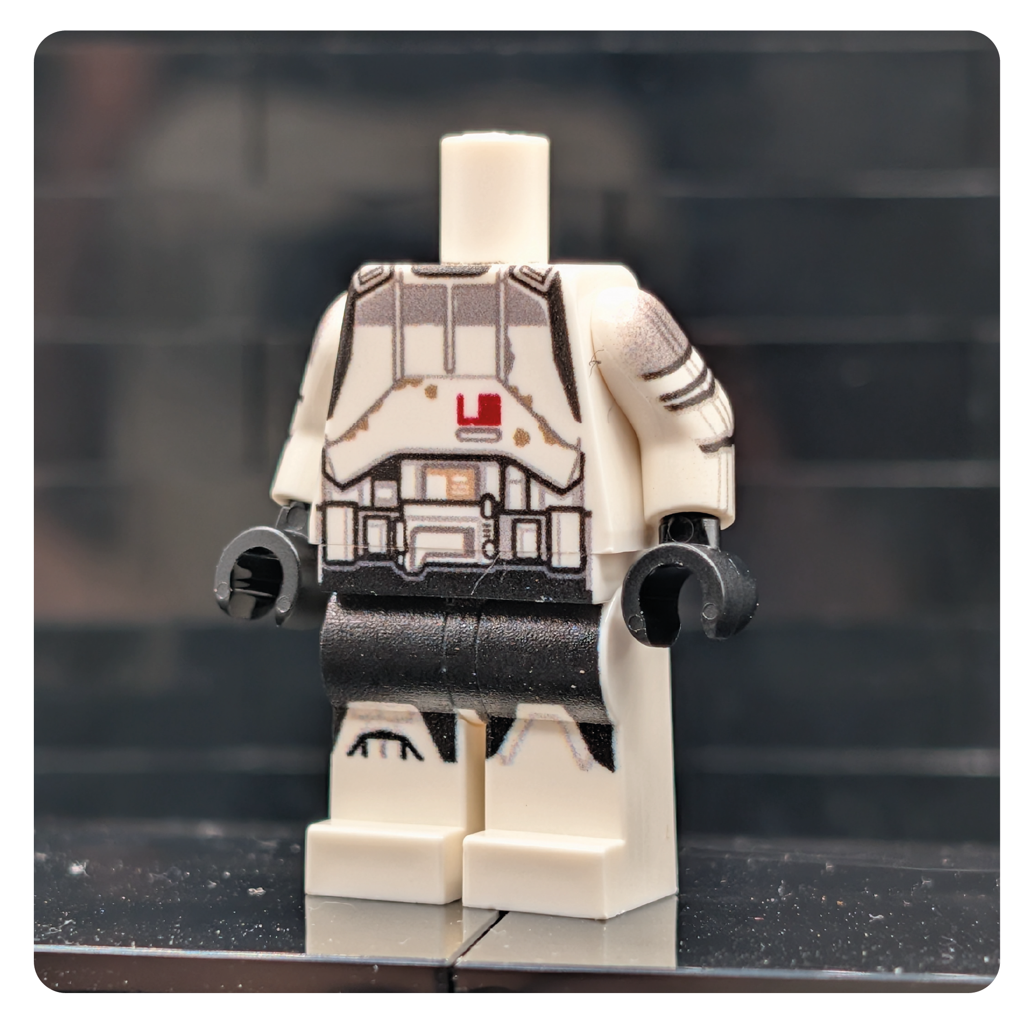 SW Customs Tanktrooper Body