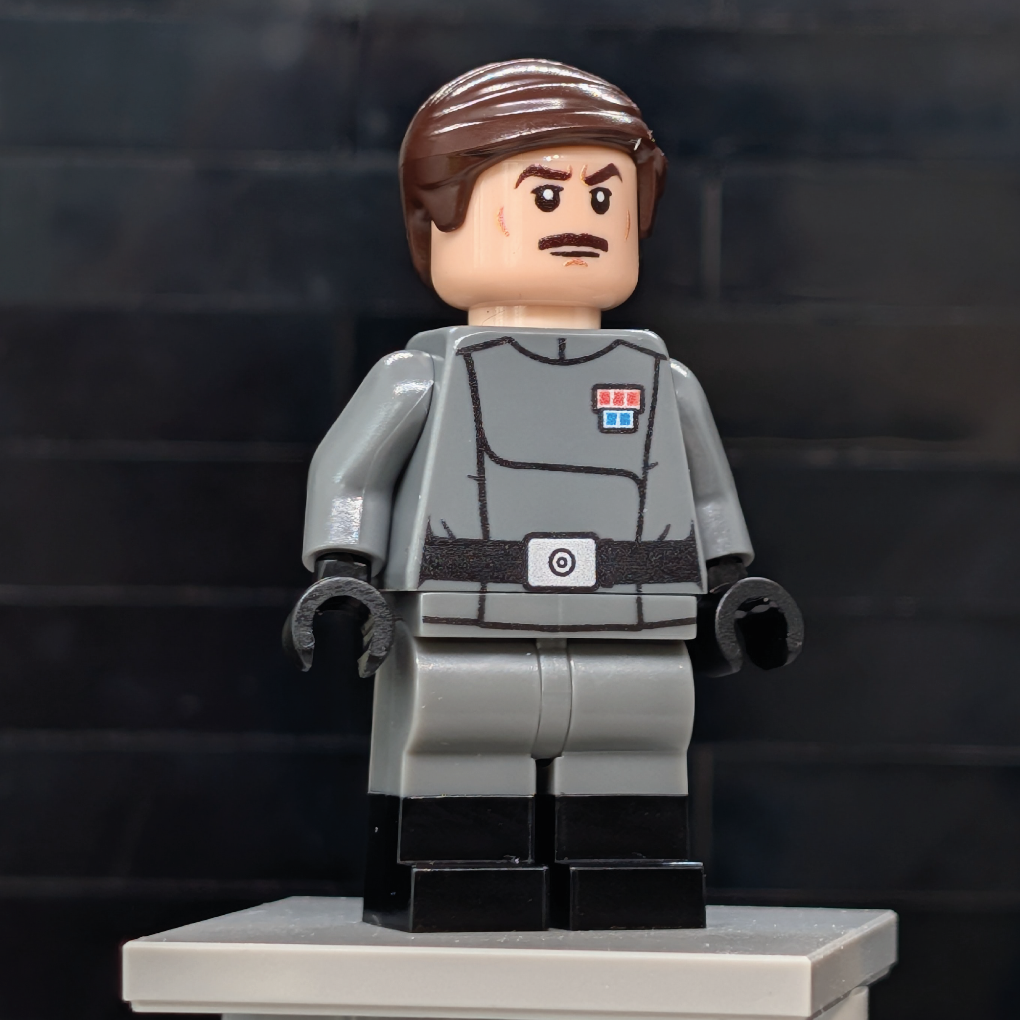 SW Customs Collectible Figure – The Fleet Tactician