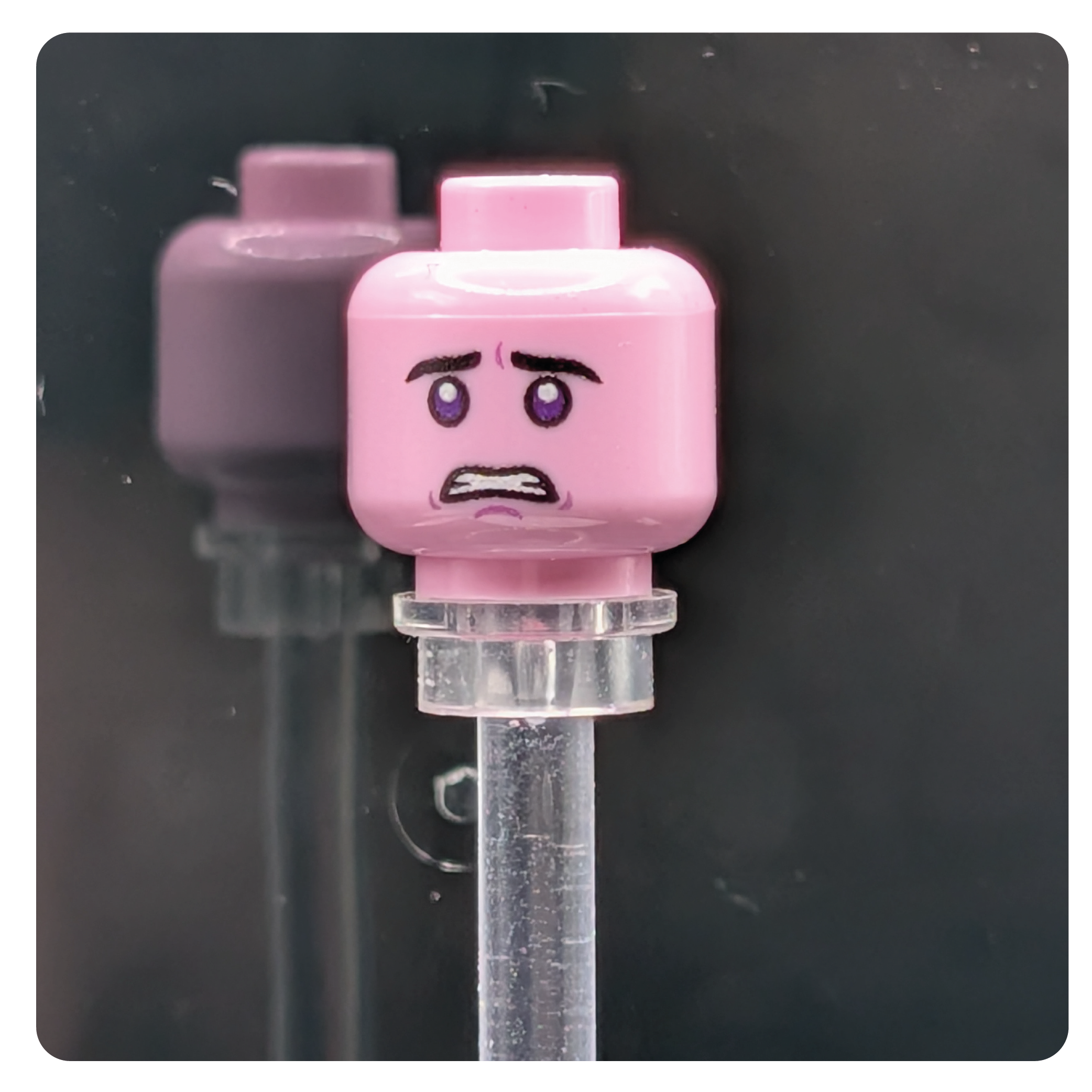 SW Customs Head - Zeltron Citizen Head