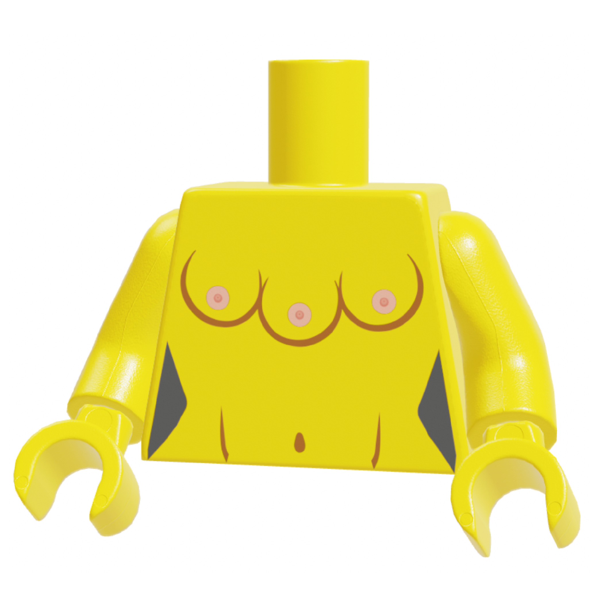Anatomic Wonder Torso Yellow