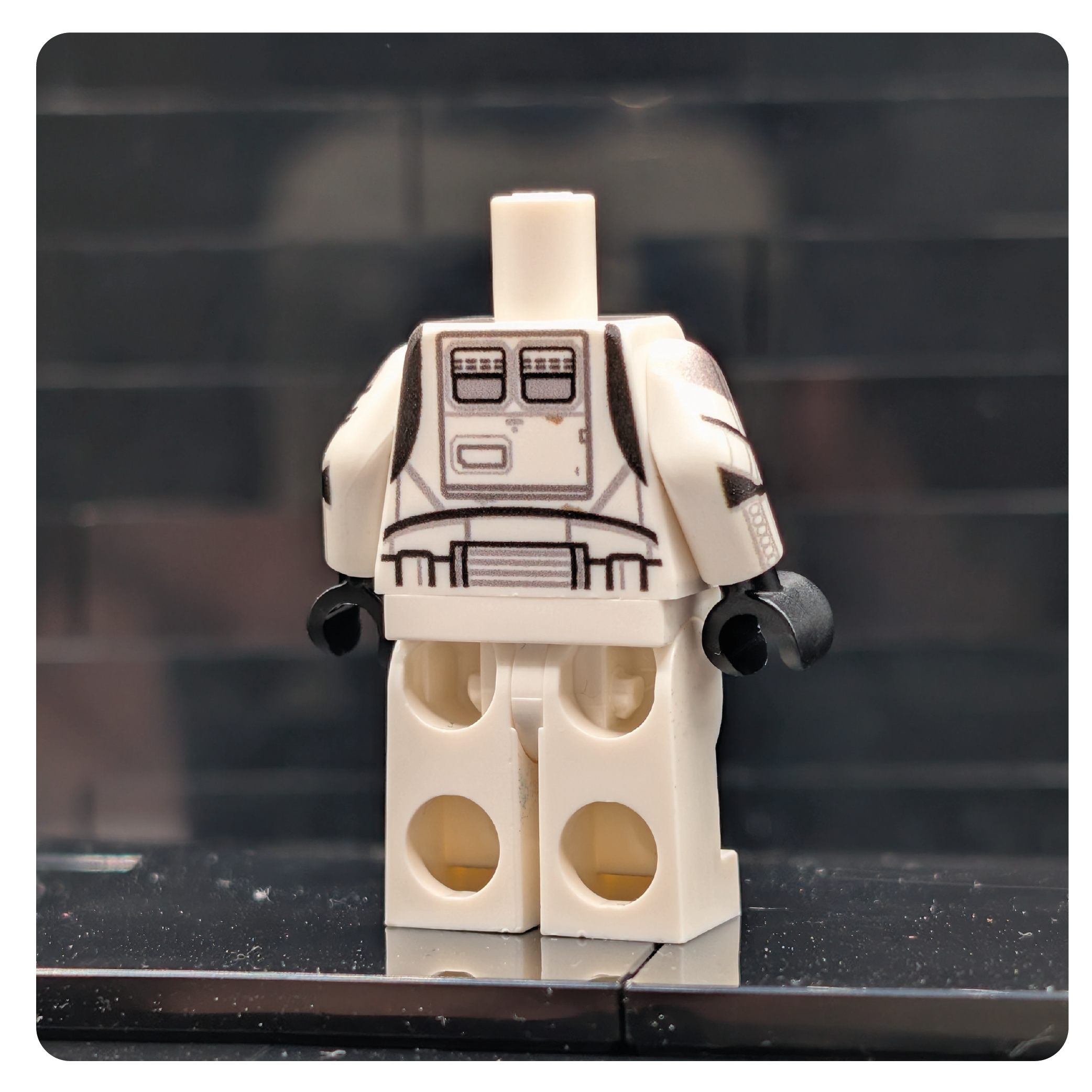 SW Customs Tanktrooper Body