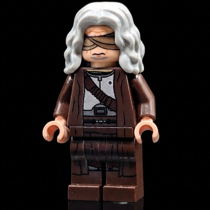 SW Customs - Niceprice Figure The Blind General (Exile Version)