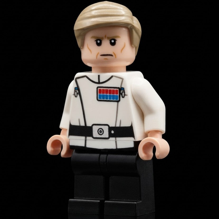 SW Customs Collectible Figure - The Security Director