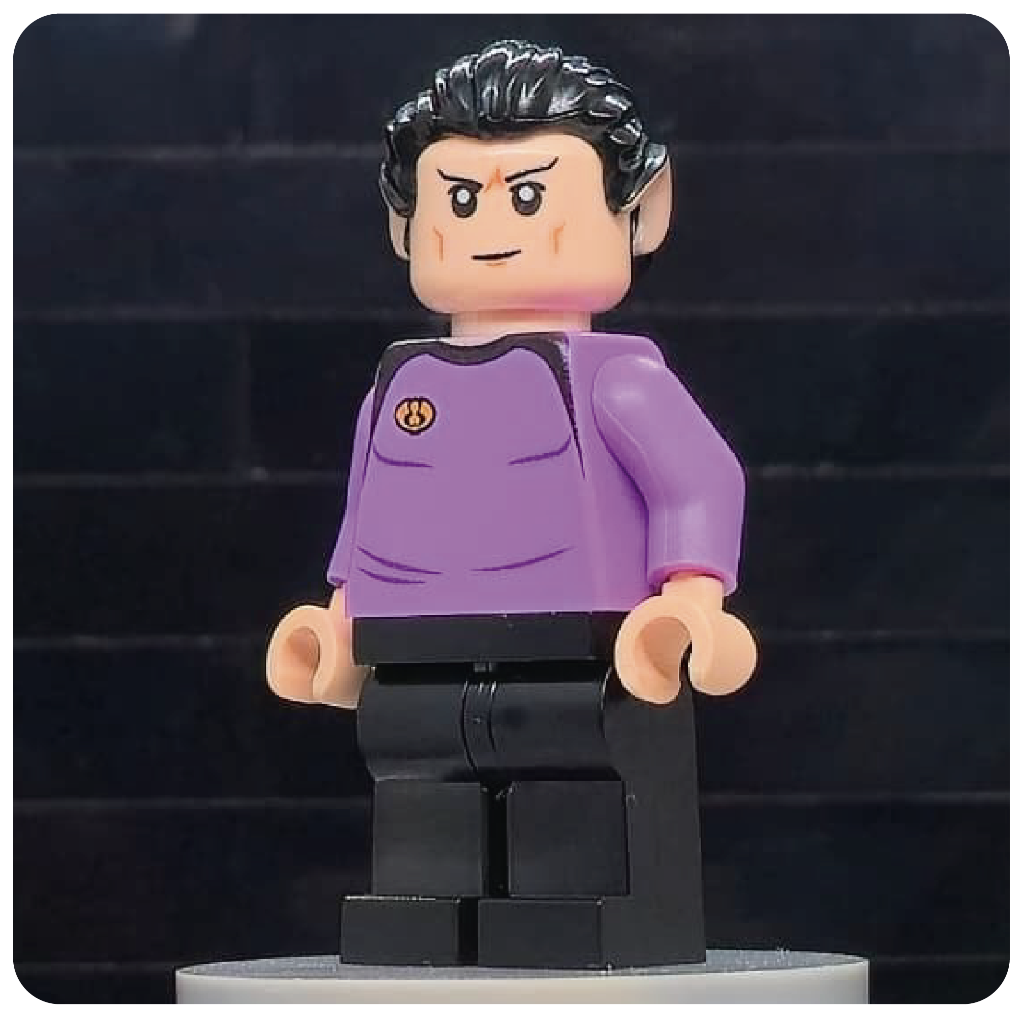 Collectible Figure Set - Surprise Crew - LIMITED EDITION